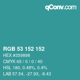 Color code: RGB 53 152 152 | qconv.com