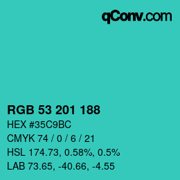 Color code: RGB 53 201 188 | qconv.com