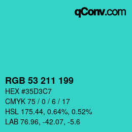 Color code: RGB 53 211 199 | qconv.com