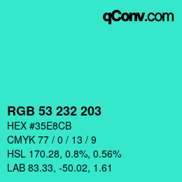 Color code: RGB 53 232 203 | qconv.com