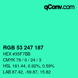 Color code: RGB 53 247 187 | qconv.com
