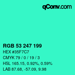Color code: RGB 53 247 199 | qconv.com