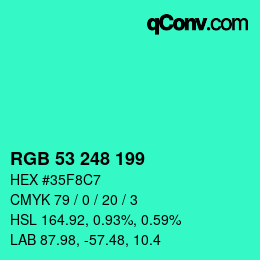 Color code: RGB 53 248 199 | qconv.com