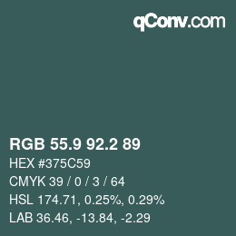 Color code: RGB 55.9 92.2 89 | qconv.com