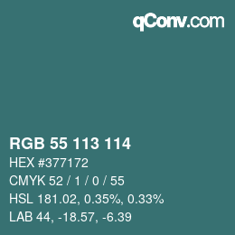 Color code: RGB 55 113 114 | qconv.com