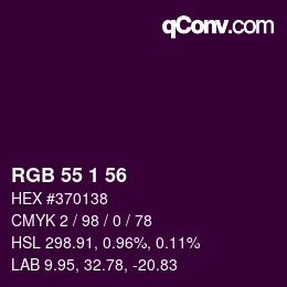 Color code: RGB 55 1 56 | qconv.com