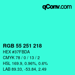 Color code: RGB 55 251 218 | qconv.com