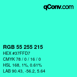 Color code: RGB 55 255 215 | qconv.com