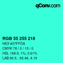 Color code: RGB 55 255 218 | qconv.com