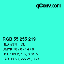 Color code: RGB 55 255 219 | qconv.com