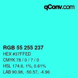 Color code: RGB 55 255 237 | qconv.com