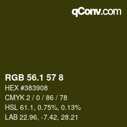 カラーコード: RGB 56.1 57 8 | qconv.com