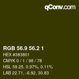 Color code: RGB 56.9 56.2 1 | qconv.com