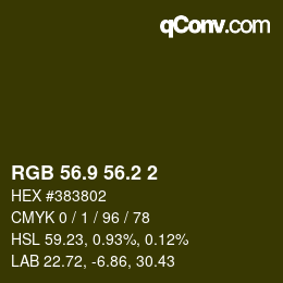 Color code: RGB 56.9 56.2 2 | qconv.com