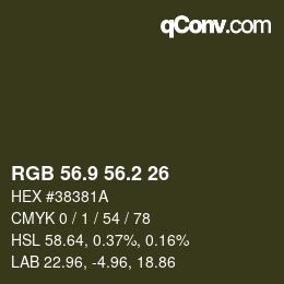 Color code: RGB 56.9 56.2 26 | qconv.com