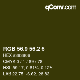 Color code: RGB 56.9 56.2 6 | qconv.com