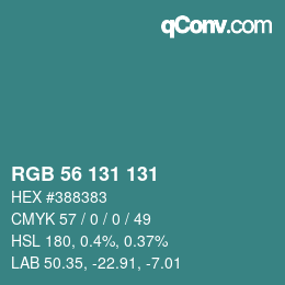 Color code: RGB 56 131 131 | qconv.com