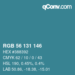 Color code: RGB 56 131 146 | qconv.com