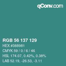 Color code: RGB 56 137 129 | qconv.com