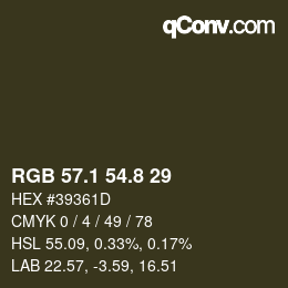 Color code: RGB 57.1 54.8 29 | qconv.com