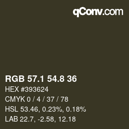 Color code: RGB 57.1 54.8 36 | qconv.com