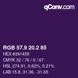 Color code: RGB 57.9 20.2 85 | qconv.com