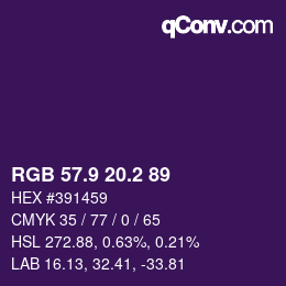 Color code: RGB 57.9 20.2 89 | qconv.com