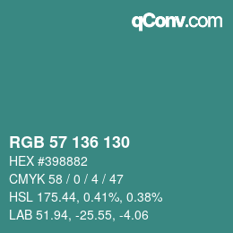 Color code: RGB 57 136 130 | qconv.com