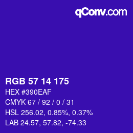 Color code: RGB 57 14 175 | qconv.com