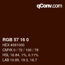 Color code: RGB 57 16 0 | qconv.com