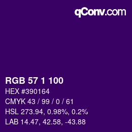 Color code: RGB 57 1 100 | qconv.com
