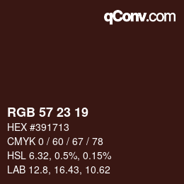 Color code: RGB 57 23 19 | qconv.com