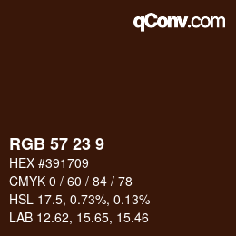 Color code: RGB 57 23 9 | qconv.com