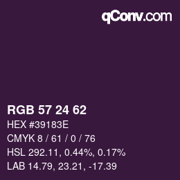 颜色代码: RGB 57 24 62 | qconv.com