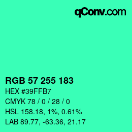 Color code: RGB 57 255 183 | qconv.com