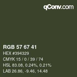颜色代码: RGB 57 67 41 | qconv.com