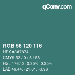 Color code: RGB 58 120 116 | qconv.com