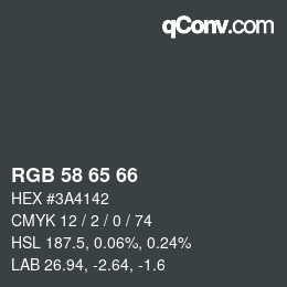 颜色代码: RGB 58 65 66 | qconv.com