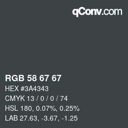 Color code: RGB 58 67 67 | qconv.com