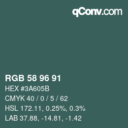 カラーコード: RGB 58 96 91 | qconv.com