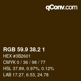 Color code: RGB 59.9 38.2 1 | qconv.com