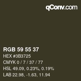 Farbcode: RGB 59 55 37 | qconv.com