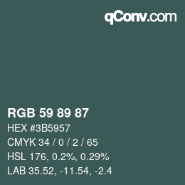 カラーコード: RGB 59 89 87 | qconv.com
