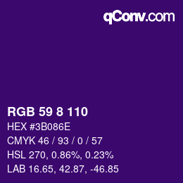 Color code: RGB 59 8 110 | qconv.com