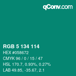 Color code: RGB 5 134 114 | qconv.com
