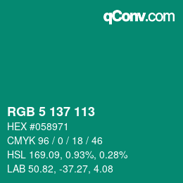 Color code: RGB 5 137 113 | qconv.com