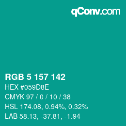 Color code: RGB 5 157 142 | qconv.com