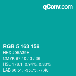 Color code: RGB 5 163 158 | qconv.com