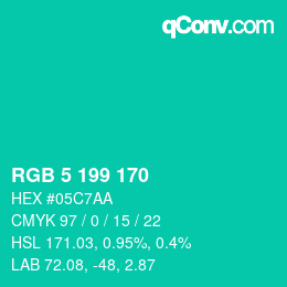颜色代码: RGB 5 199 170 | qconv.com