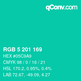 Color code: RGB 5 201 169 | qconv.com